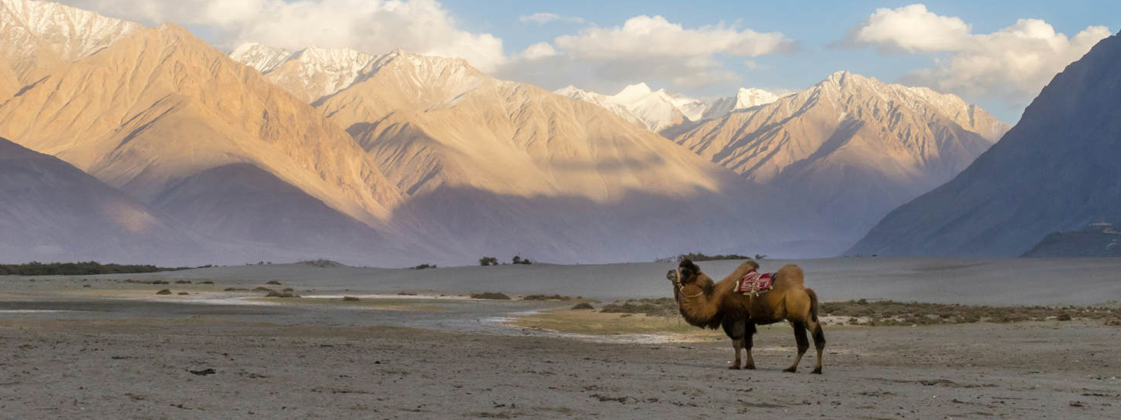 Nubra Valley