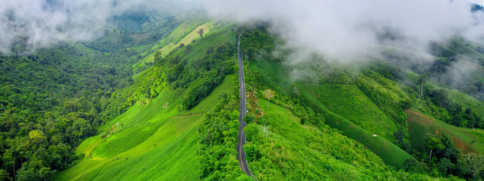 Coorg - Highland Rainforests