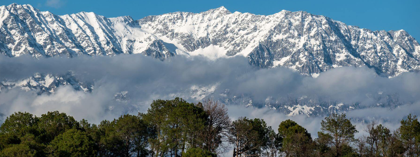 Dhauladhar Mountain