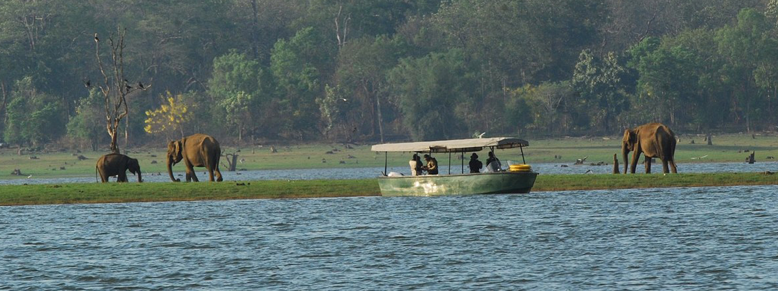 Kabini River Safari