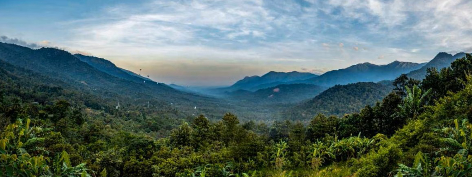 Wayanad Tropical Forests